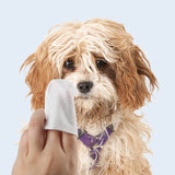 https://pawandcorazon.store › products › deodorant-wipes-tears-care-pet-wipes