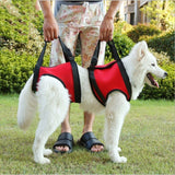 https://pawandcorazon.store › products › pet-specific-safety-care-equipment-auxiliary-belt