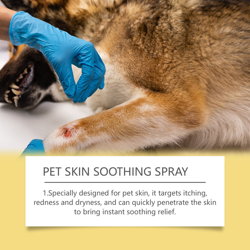 https://pawandcorazon.store › products › pet-skin-care-spray-gentle-relief