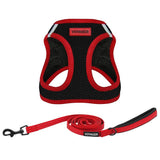 https://pawandcorazon.store › products › step-in-air-mesh-harness-leash-set-for-ultimate-comfort