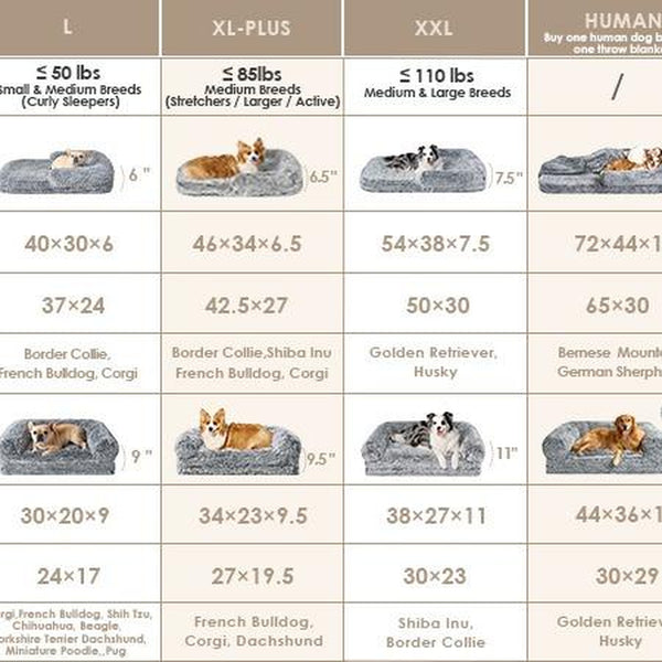 https://pawandcorazon.store › products › eheyciga-foldable-human-dog-bed-for-adult-orthopedic-memory-foam-dog-bed-for-humans-waterproof-human-dog-bed-for-people-faux-fur-human-sized-dog-bed

