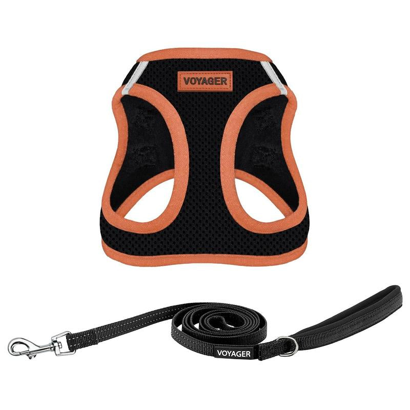 https://pawandcorazon.store › products › step-in-air-mesh-harness-leash-set-for-ultimate-comfort