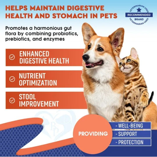 https://pawandcorazon.store › products › probiotics-prebiotics-with-enzymes-for-dogs-and-cats-digestive-gut-flora-health-pet-food-supplements