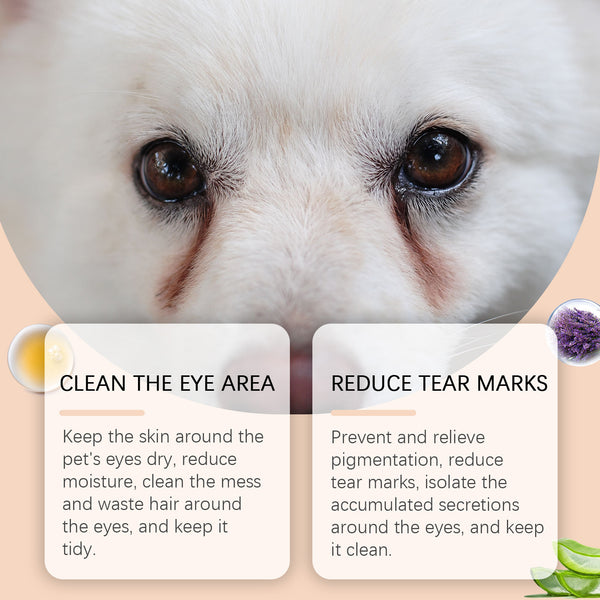 
https://pawandcorazon.store › products › household-mild-pet-tears-cleaning-cream