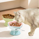 https://pawandcorazon.store › products › ceramic-pet-slow-feeder-bowl-1-count-pet-feeding-bowl-elevated-tilted-cat-food-bowl-pet-feeding-supplies-pet-supplies-for-small-dogs-cats

