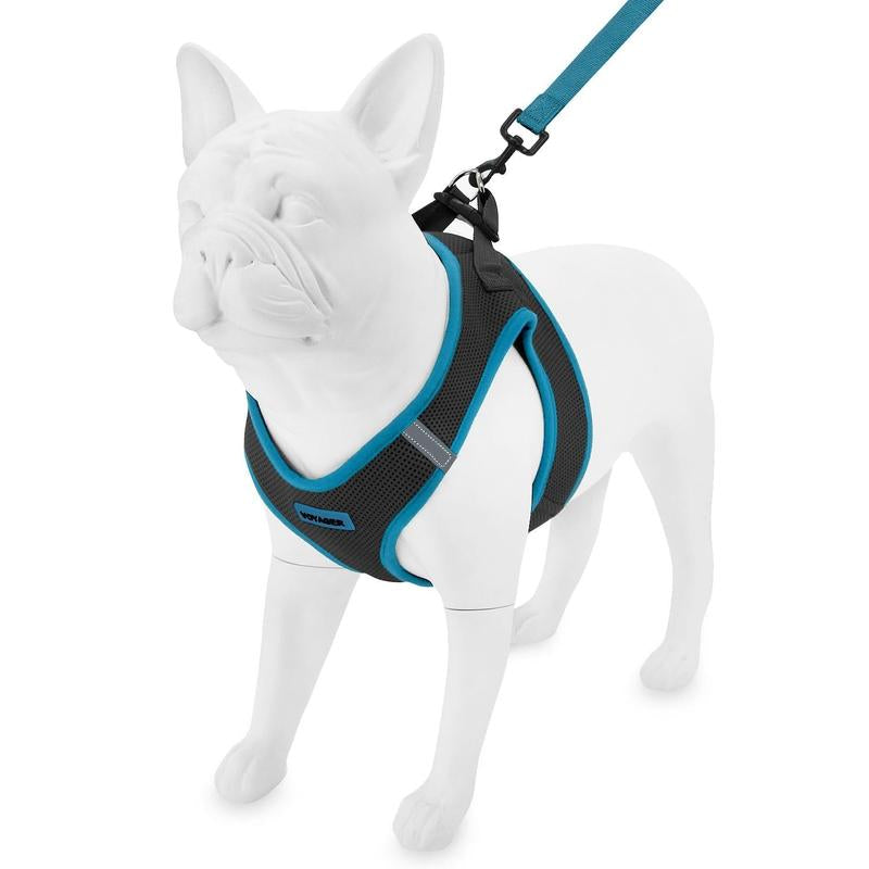 https://pawandcorazon.store › products › step-in-air-mesh-harness-leash-set-for-ultimate-comfort
