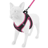 https://pawandcorazon.store › products › step-in-air-mesh-harness-leash-set-for-ultimate-comfort