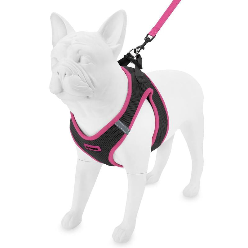 https://pawandcorazon.store › products › step-in-air-mesh-harness-leash-set-for-ultimate-comfort