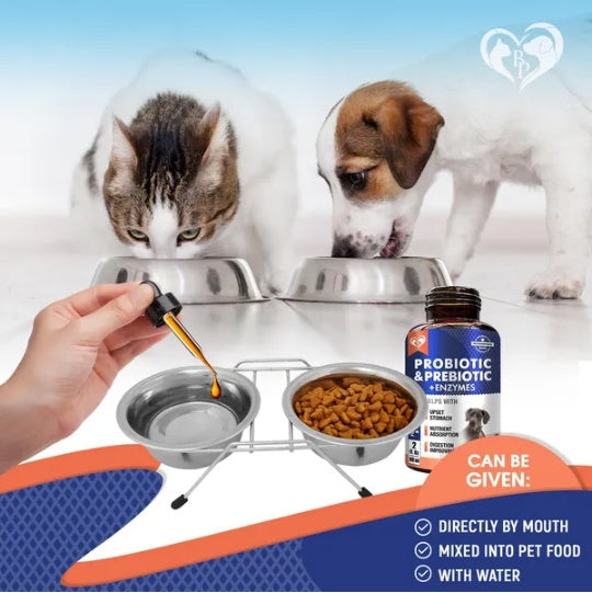 https://pawandcorazon.store › products › probiotics-prebiotics-with-enzymes-for-dogs-and-cats-digestive-gut-flora-health-pet-food-supplements