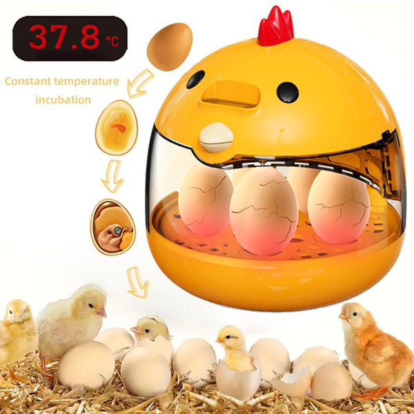 
https://pawandcorazon.store › products › 1pc-smart-egg-incubator-for-poultry-chicken-duck-birds-digital-thermostat-control-high-hatch-rate-auto-turning-humidity-monitor-home-use-6-eggs-capacity